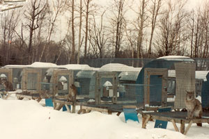 Canadian Fur Farm (not MN)