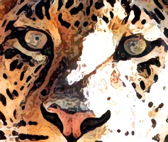 The Jaguar Trust jaguarclipart