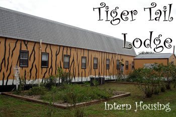 Intern Housing Tiger Tail Lodge at Big Cat Rescue  Summer Camp Counselors InternHousingTigerTailLodge