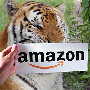 Amazon Smile Big Cat Rescue