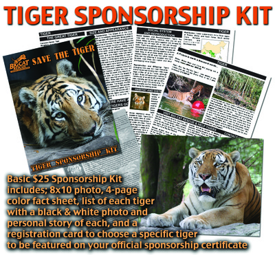 Sponsor A Tiger