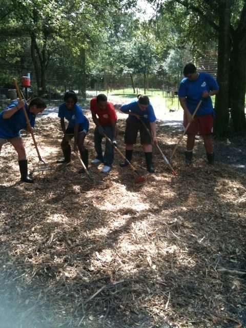 Volunteers and Interns Putting Down Mulch