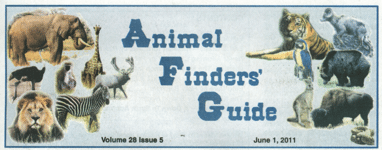 Animal Finders Guide  Tiger Rescue Tiger8
