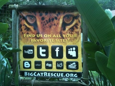 New signage at Big Cat Rescue  Today at Big Cat Rescue Sept 9 20110909 031642