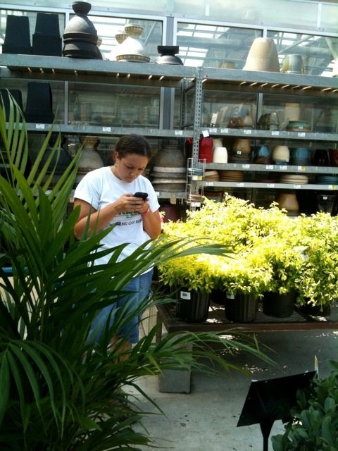 Jamie checking for non toxic plants to put in cat enclosures  Today at Big Cat Rescue Sept 14 20110914 054208