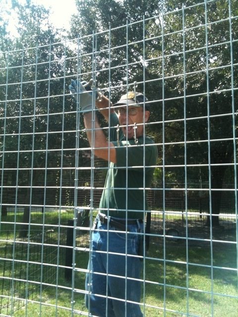 Volunteer Rich "Mr Fix It" leads a cage building project  Today at Big Cat Rescue Sept 17 20110917 052219