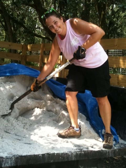 Shoveling sand into Cat-a-tats so that we can photograph tiger paw prints for WildTracks
