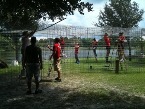 A bunch of new Red Shirt Volunteers help build tiger cage