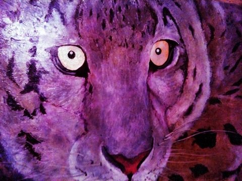 There is always a lot of great art work donated to Big Cat Rescue