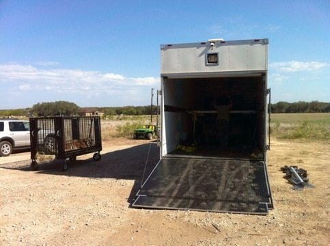 Loading the tigers in San Antonio, TX  Today at Big Cat Rescue Sept 28 20110928 081916