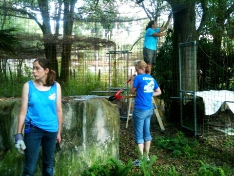 Volunteers, Staff and Interns give Moses and Bailey's cage an overhaul