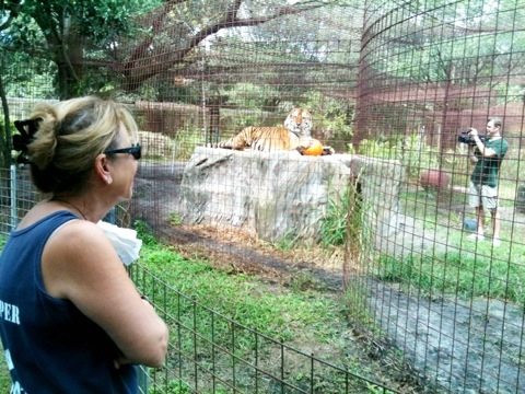 Master Keeper Barbara and Marie watch Alex tiger pose for Chris