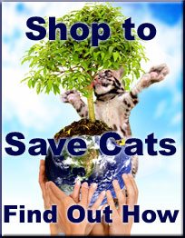 Today at Big Cat Rescue Oct 28 ShopToSaveCatsButton