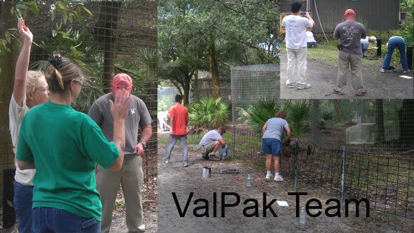 ValPak Team paints barricades at Big Cat Rescue on Saturday