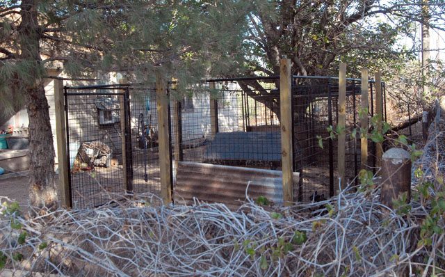 Typical Mountain Lion Cage
