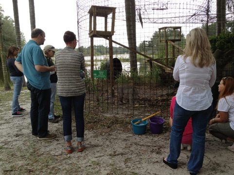 Jennifer R Leads a Keeper Tour to Max the Bobcat
