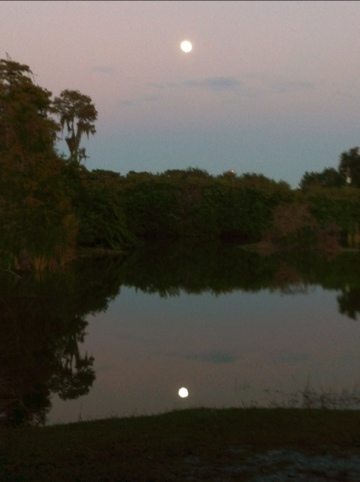 Moonlight reflection in the lake at the sanctuary