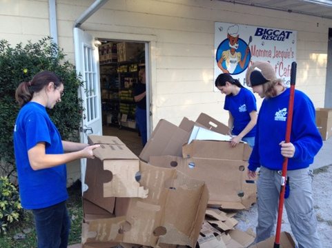 Interns flatten the food boxes for recycling