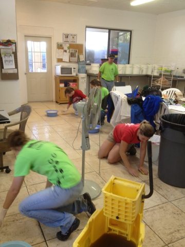 A visiting group of vet students helped scrub every inch of the floors