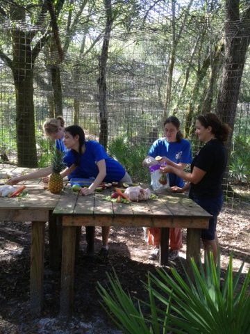 Interns prepare Thanksgiving Day turkey feast for cougar "cubs"