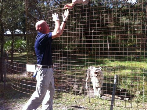 Zabu smiles for the St. Pete Times reporter as turkey flies in