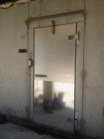 A new shiny freezer door!  The little things make us happy!  Today at Big Cat Rescue Nov 19 20111119 145356