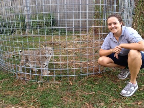 Jamie Veronica lets Windstar the bobcat into his new room addition