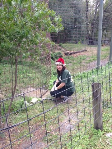 Green Shirt Maureen brings holiday cheer to captive cats