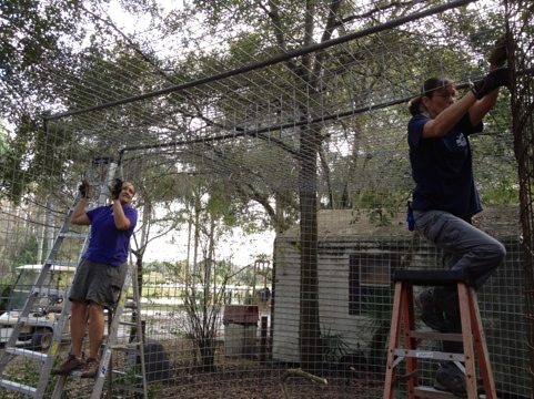 Jamie and Gale install a bridge to hold up the roof in cage addition