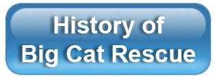 ButtonAboutHistory  About BCR ButtonAboutHistory