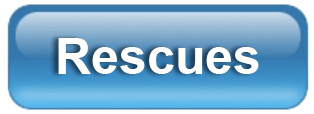 Rescues  PressRoom ButtonAboutRescues