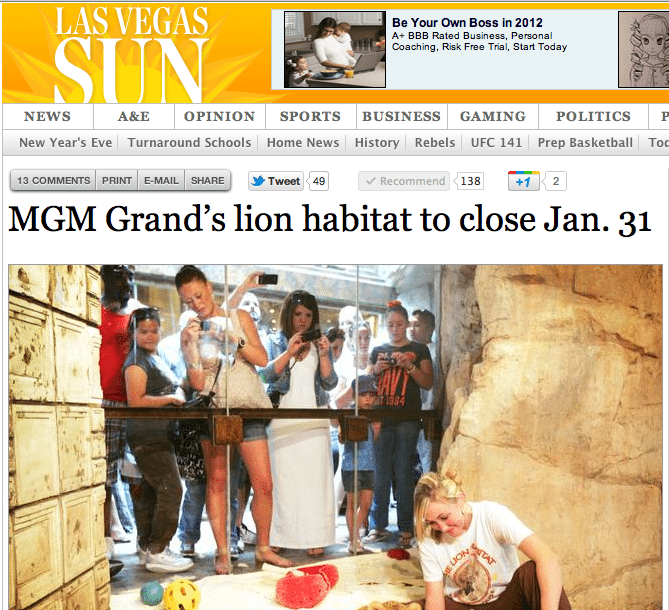 MGM Permanently Closes Lion Exhibit and Sends Cats Back to Keith Evans of The Cat House