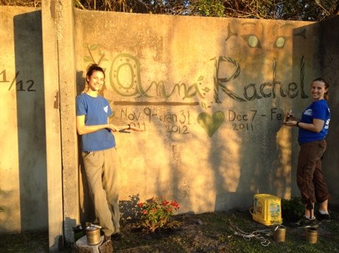 Interns each plant a climbing bush and paint their names on the E Wall