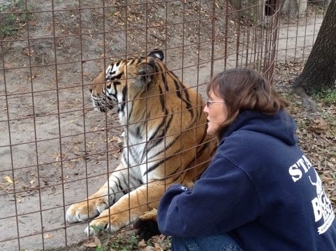 Operations Manager and tiger ask Amanda the tiger if she'll come over