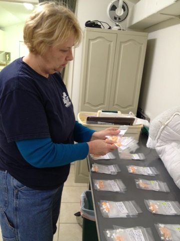 Master Keeper Becky laying out the meds for all our old cats