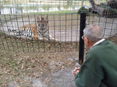 Howie talking to Andre the tiger while our guests talked to Joseph the lion
