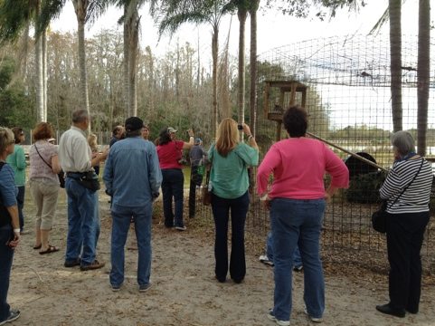 CFO Howard Baskin giving a photo tour to Randall's friends  Today at Big Cat Rescue Speak Up for Tortured Bobcat 20120121 144857