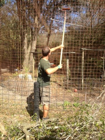 Jarred painting another lynx cage with Rustoleum to protect the wire