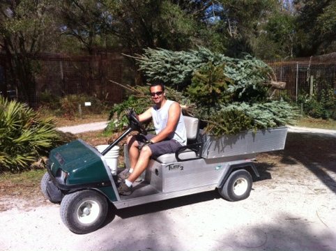 Justin just finished vet school.  Handing out trees to big cats w/ Jamie.  Today at Big Cat Rescue Jan 26 20120126 191333
