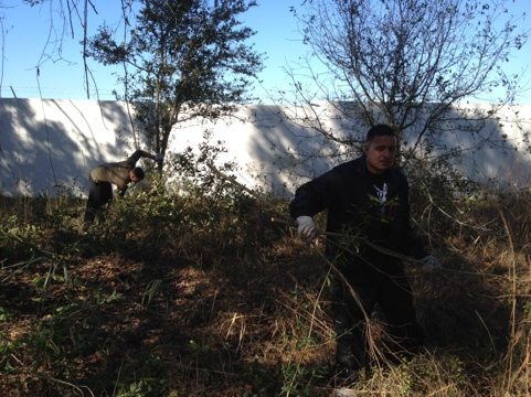 Army volunteers make quick work of the clearing project  Today at Big Cat Rescue Jan 29 Army Strong 20120129 102848