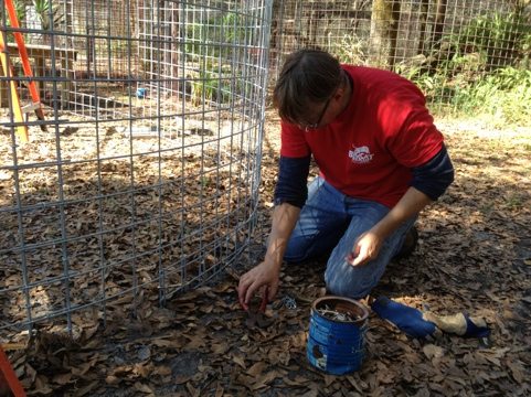 Shane putting stake wire around the bottom of the new bobcat cage