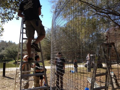 Chris, Gale and Army Volunteers building bobcat room addition  Today at Big Cat Rescue Jan 29 Army Strong 20120129 155240