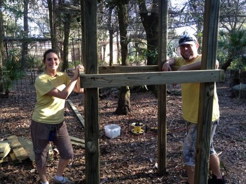 Jennifer and Darren Holley building another great jungle gym for cats