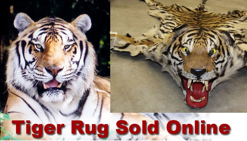 Tiger Rug Sold Illegally Online
