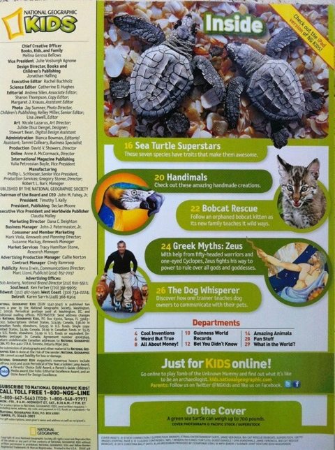 Rehab baby bobcat featured in National Geographic Kids Magazine