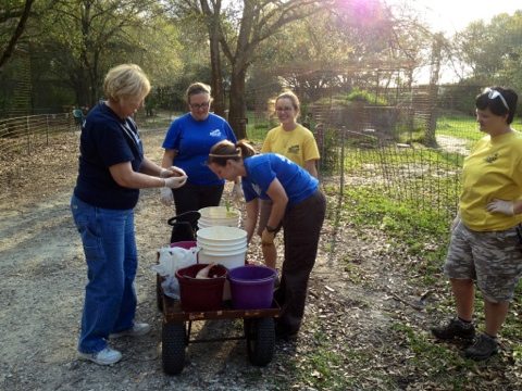 Volunteers feeding the lions, tigers, leopards, bobcats and servals