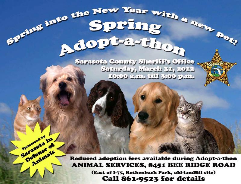 Today at Big Cat Rescue Feb 26 AdoptAThon31Mar2012
