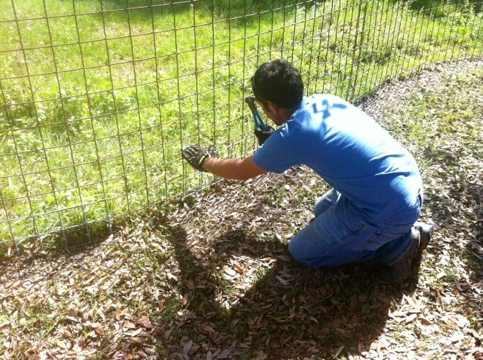 Dr Justin Boorstein working on a cage at Big Cat Rescue