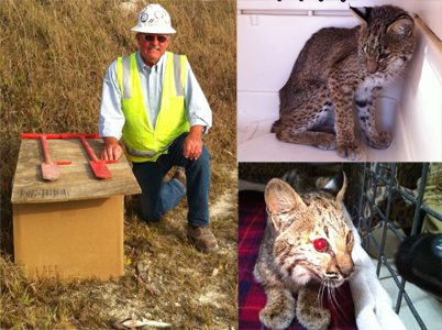 Tommie the bobcat's rescuer Tommie Deaner  Tommie BOBKIT11