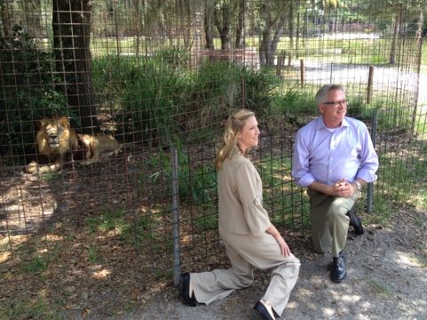 Visitors check out Big Cat Rescue